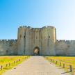 a large castle with a gate in a field