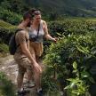a man and a woman walking through a tea plantation