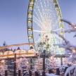 a ferris wheel in a park with snow and trees