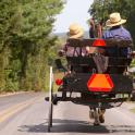 two people riding in a horse drawn carriage down a road