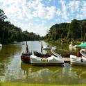 a group of swans shaped boats on a river