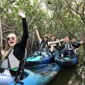 một nhóm người chèo thuyền kayak trên mặt nước