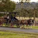 a group of people riding in a horse drawn carriage