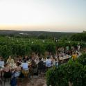 a group of people sitting at tables in a vineyard