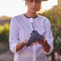 a woman is holding a bunch of grapes