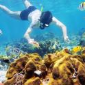 a person swimming in the water near a coral reef