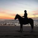 a person riding a horse on the beach at sunset