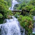 a bridge over a waterfall in a forest