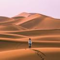 a person standing on top of a sand dune