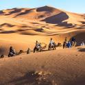 a group of people riding horses in the desert