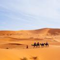 a group of people riding horses in the desert