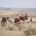 a group of people riding camels in the desert