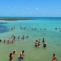 a group of people in the water at the beach