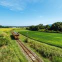 a train traveling down the tracks in a field