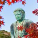 a large statue of a buddha sitting next to trees