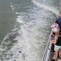 a group of people on a boat looking at a dolphin