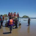 a group of people are standing on the beach