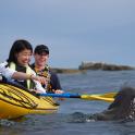 a man and a woman in a kayak with a dolphin