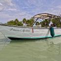 a boat sitting in the water on a beach