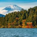 湖中央有一座山，山上有红色物体