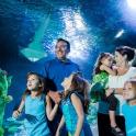 a group of children standing in front of a aquarium