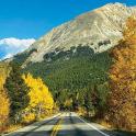 an empty road with yellow trees and a mountain
