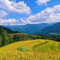 a green field with mountains in the background