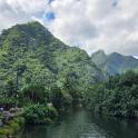 a river in front of a mountain with trees