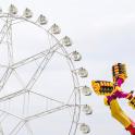 a worm on a ferris wheel at a carnival