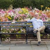 a man sitting on a bench in front of flowers
