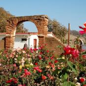 a brick arch with flowers in front of a house