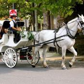 a man driving a horse drawn carriage down a street