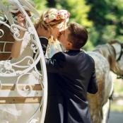 a bride and groom kissing on a bench with a horse