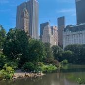 a view of a river in a city with tall buildings
