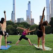 a group of women doing yoga in a park