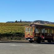 a trolley car parked in front of a vineyard
