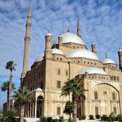 一座有清真寺的建筑,前面有棕榈树