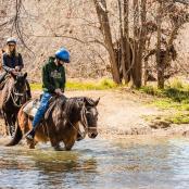 一群人骑马过河