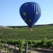 a hot air balloon flying over a vineyard