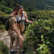 um homem e uma mulher caminhando por uma plantação de chá