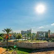 公园景色,背景是城市