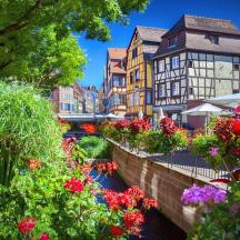 un ram de flors en una ciutat amb edificis