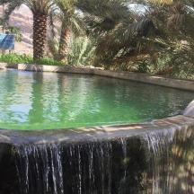 a swimming pool with a waterfall in a garden