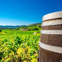 a wooden barrel in a field of crops