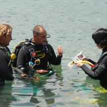 eine Gruppe von drei Personen im Wasser