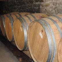 a row of wooden barrels in a cellar