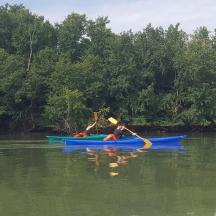 hai đứa trẻ đang chèo thuyền kayak trên sông