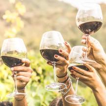 a group of people holding up wine glasses
