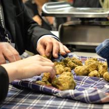 a group of people reaching for a pile of food
