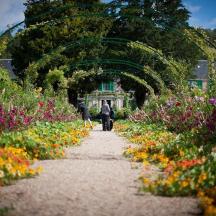 a person walking down a path through a garden with flowers